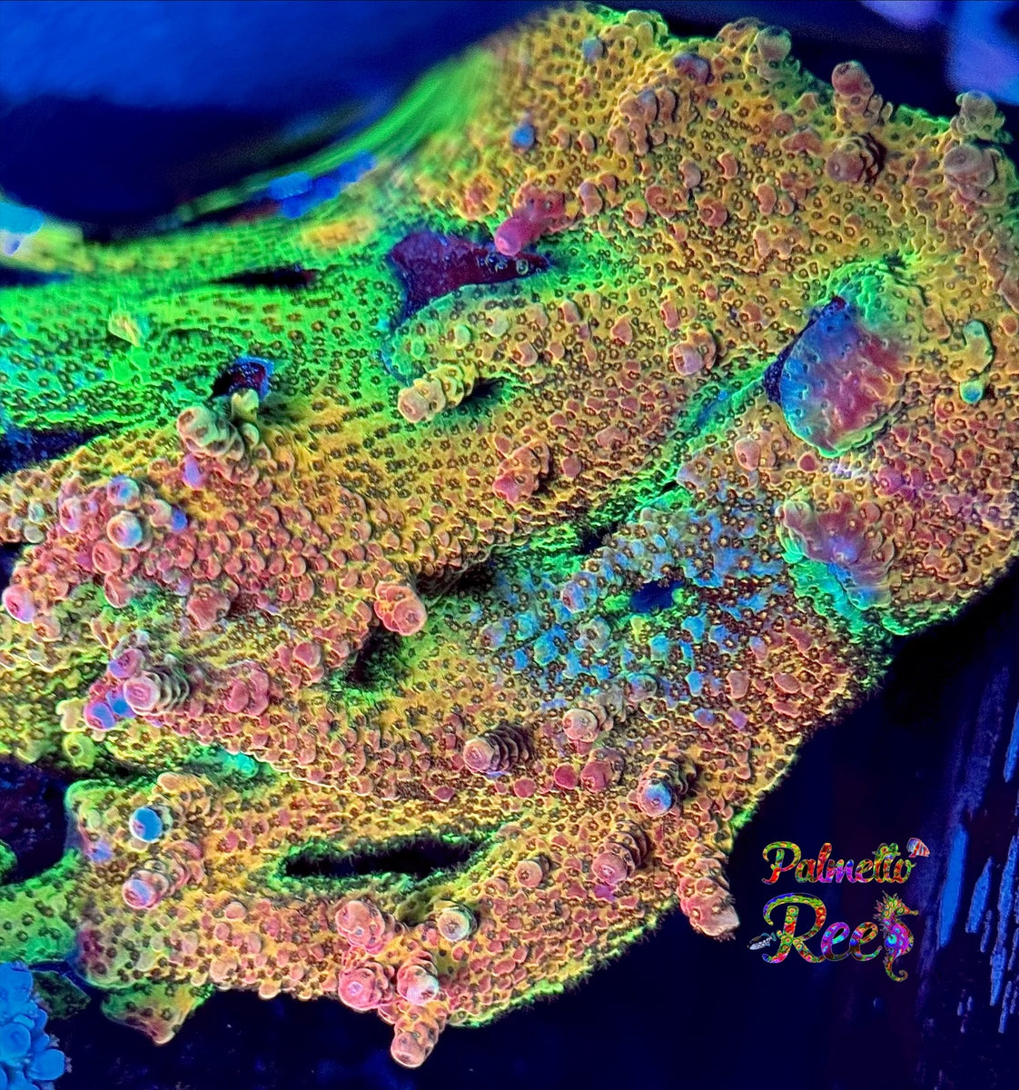 E71813A1-D053-4CE9-9FE6-