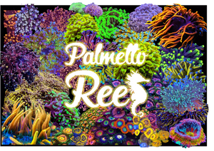 Palmetto Reef Gift Card